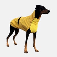 Rain & Wind Resistance Jacket　YELLOW　JPY9,980+10%TAX