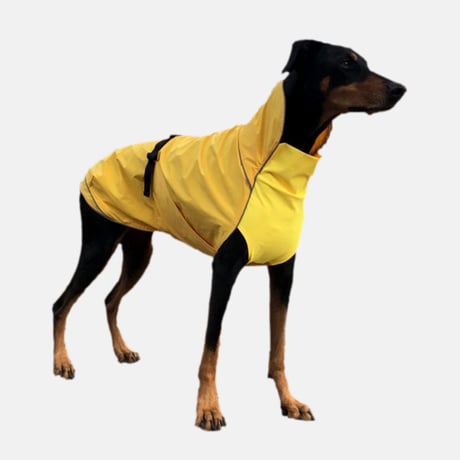 Rain & Wind Resistance Jacket　YELLOW　JPY9,980+10%TAX