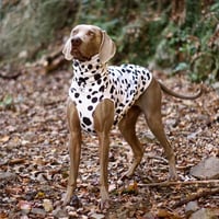 DARE-DAL Ⅱ High-neck　DALMATIAN　JPY7,600+10%TAX