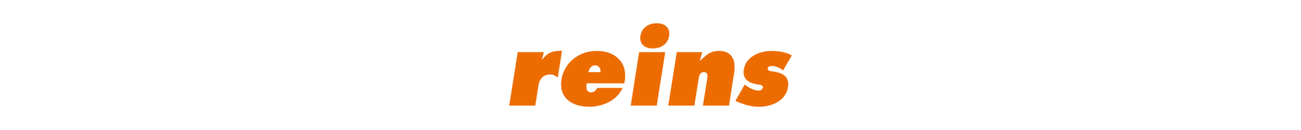 reins ONLINE STORE