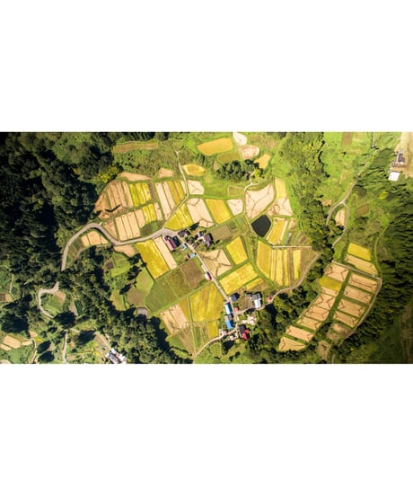 令和７年産 七〇八米【三味一体】コシヒカリ　３種３合セット　　ギフトに最適★
