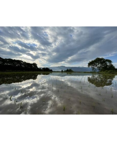 【令和８年産新米予約】【予約特価は〜9/20まで】　　七〇八米　黒KURO　２kg　１０月初旬頃発送予定