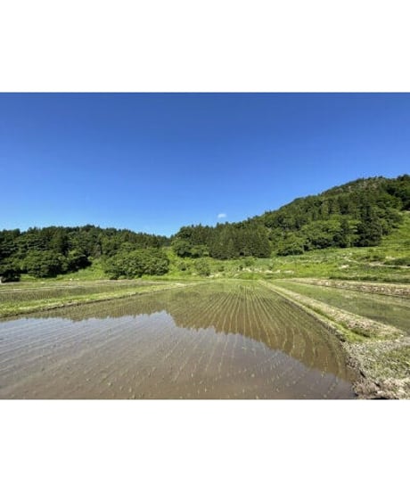 【令和８年産新米予約】【予約特価は〜9/20まで】　　七〇八米　黒KURO　２kg　１０月初旬頃発送予定