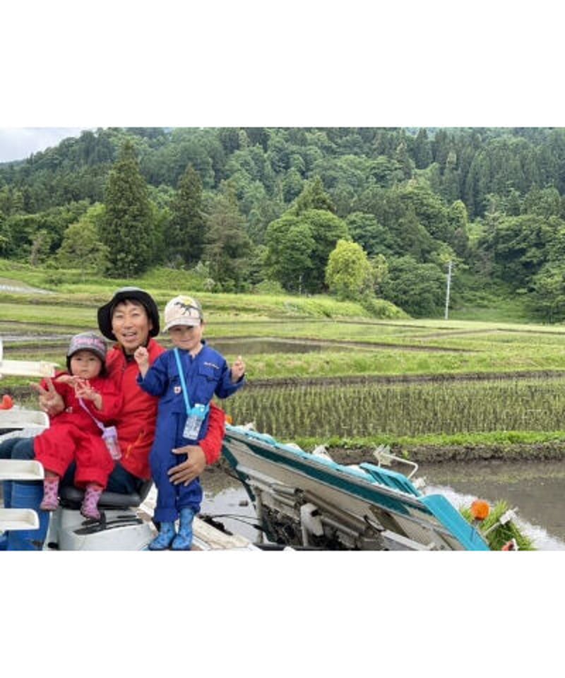 令和6年産 七〇八米 蛍 HOTARU 10kg 合鴨＆アヒル農法