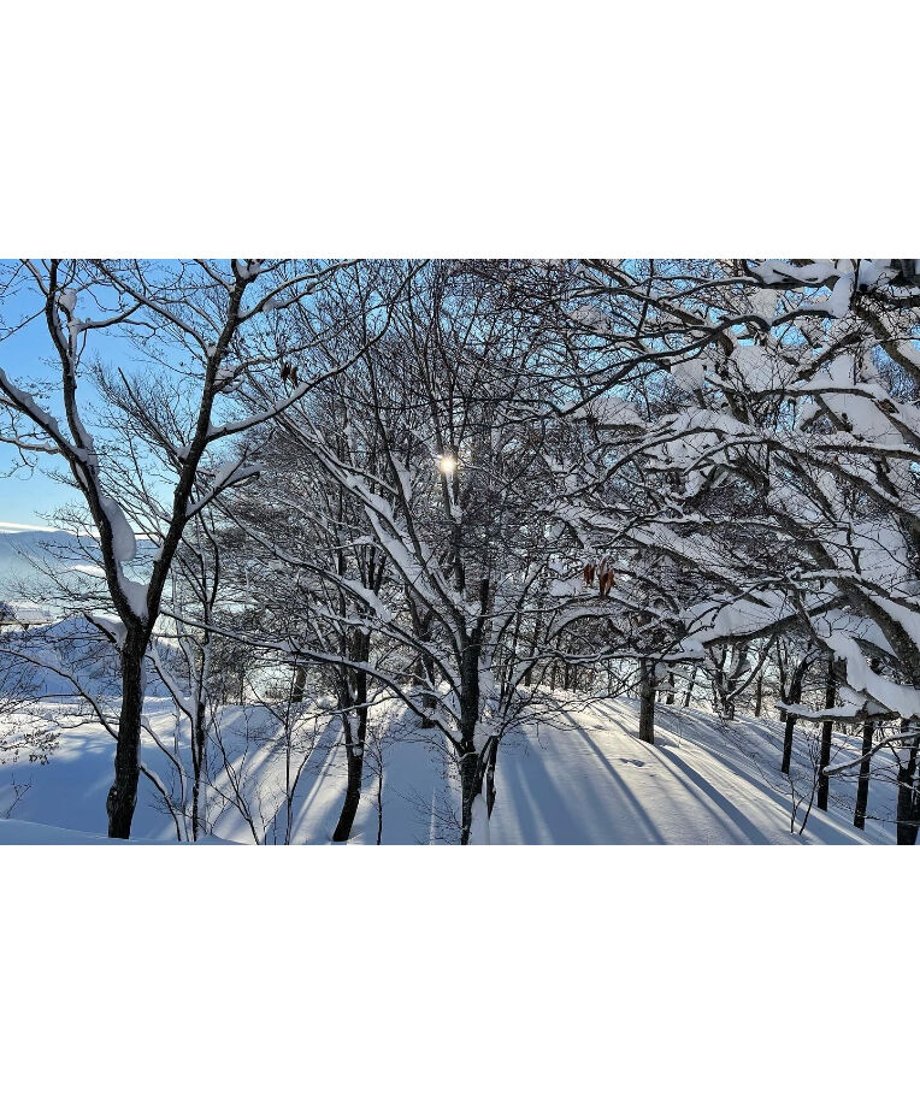 630cc02973f98a6f2b16bdc4