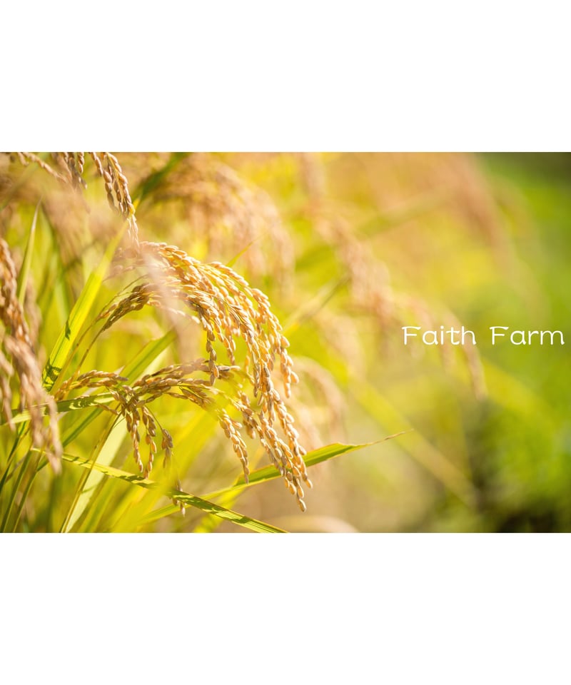 令和7年産 七〇八米 極 KIWAMI 2kg | Faith Farm's STORE