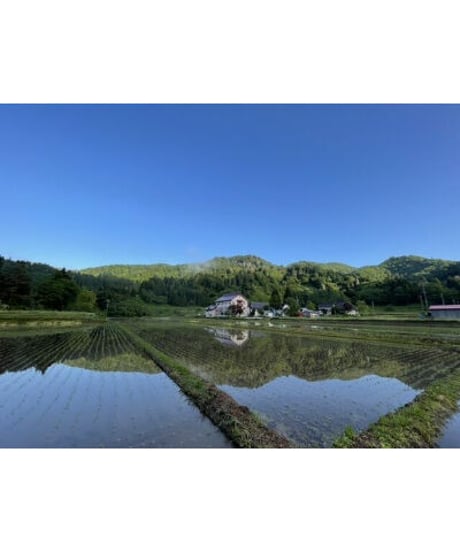 令和７年産　七〇八米　黒KURO       １０kg