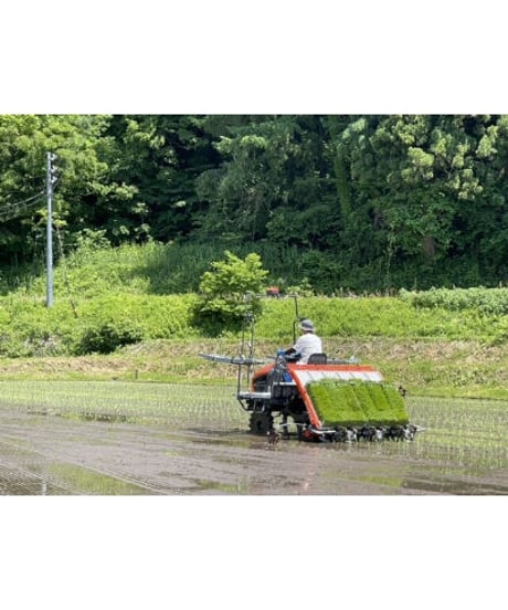 令和７年産 七〇八米 蛍 HOTARU １０kg  合鴨＆アヒル農法
