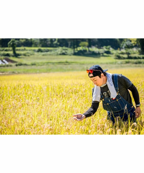 令和７年産 七〇八米【三味一体】コシヒカリ　３種３合セット　　ギフトに最適★