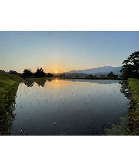 令和７年産  七〇八米 極 KIWAMI １０kg