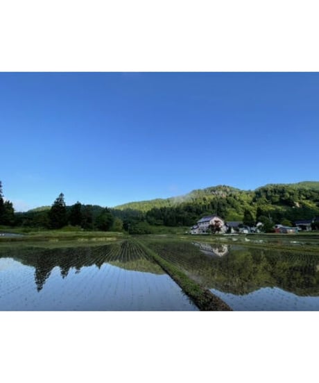 令和７年産　七〇八米　黒KURO       ５kg