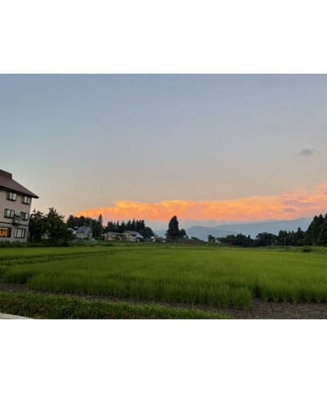 令和７年産　七〇八米　黒KURO       １０kg