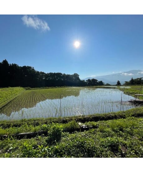 令和７年産 七〇八米 蛍 HOTARU １０kg  合鴨＆アヒル農法