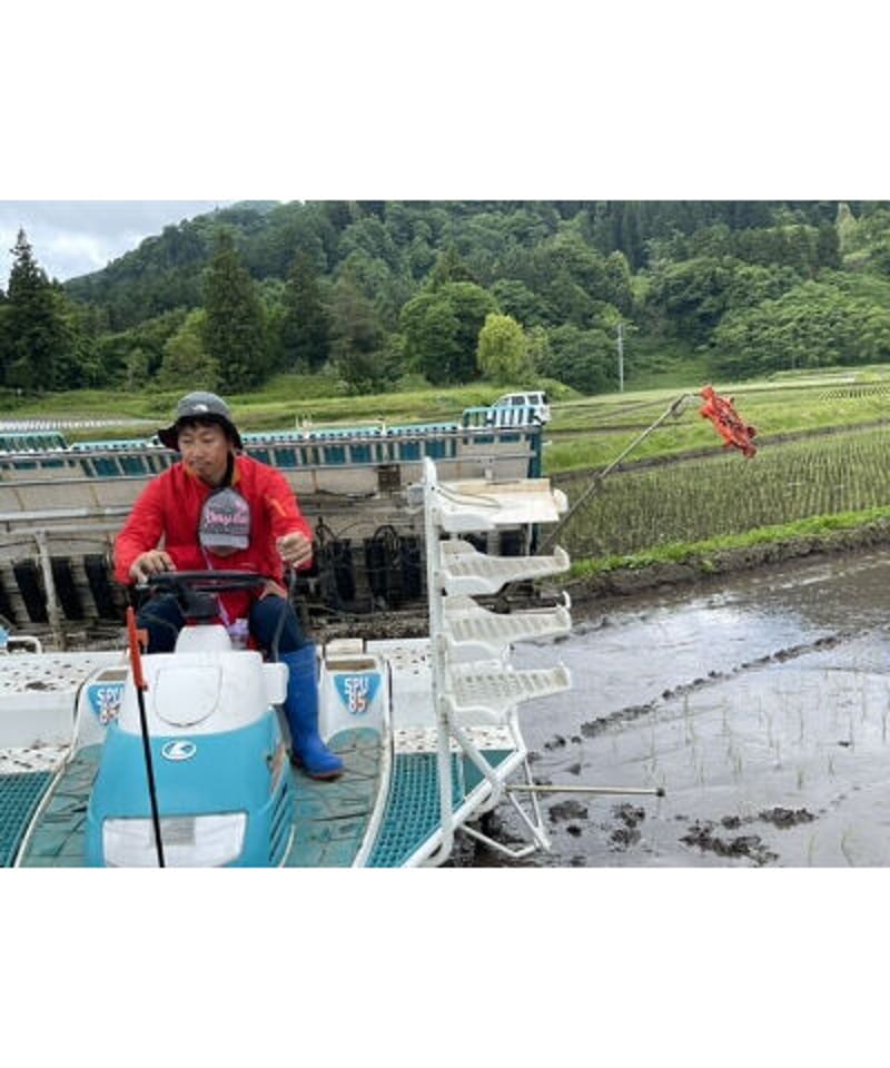 令和6年産 七〇八米 黒KURO 5kg | Faith Farm's STORE 令和6年産 七〇八米 黒KURO 5kg | Faith Farm's STORE