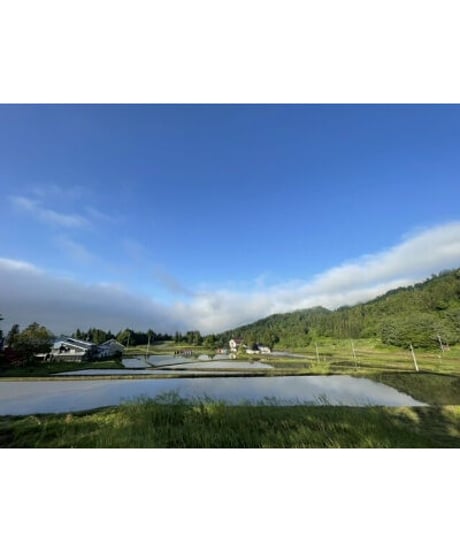 令和７年産 七〇八米 【ゆうだい２１】　５kg