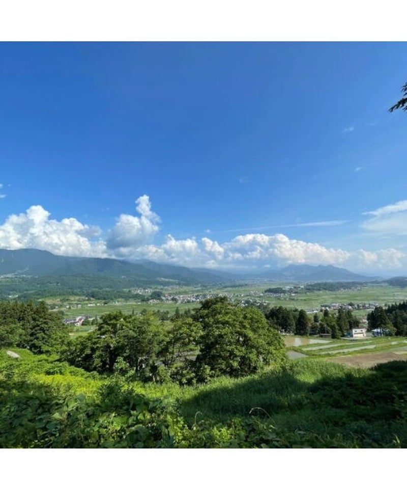 令和7年産 七〇八米 黒KURO 10kg | Faith Farm's STORE