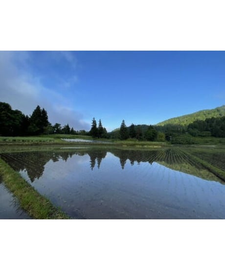 【令和８年産新米予約】【予約特価は〜9/20まで】七〇八米　黒KURO　１０kg　１０月初旬頃発送予定