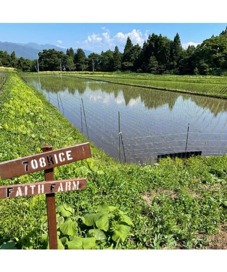 令和７年産 七〇八米 蛍 HOTARU １０kg  合鴨＆アヒル農法