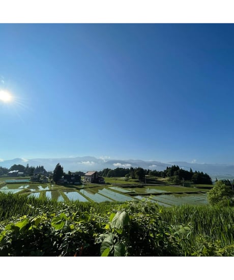 令和７年産  七〇八米 極 KIWAMI １０kg