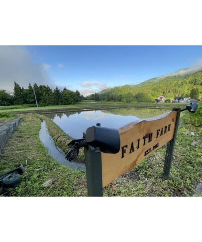 令和6年産 七〇八米 蛍 HOTARU 10kg 合鴨&アヒル農法 令和6年産 七〇八米 蛍 HOTARU 10kg 合鴨&アヒル農法