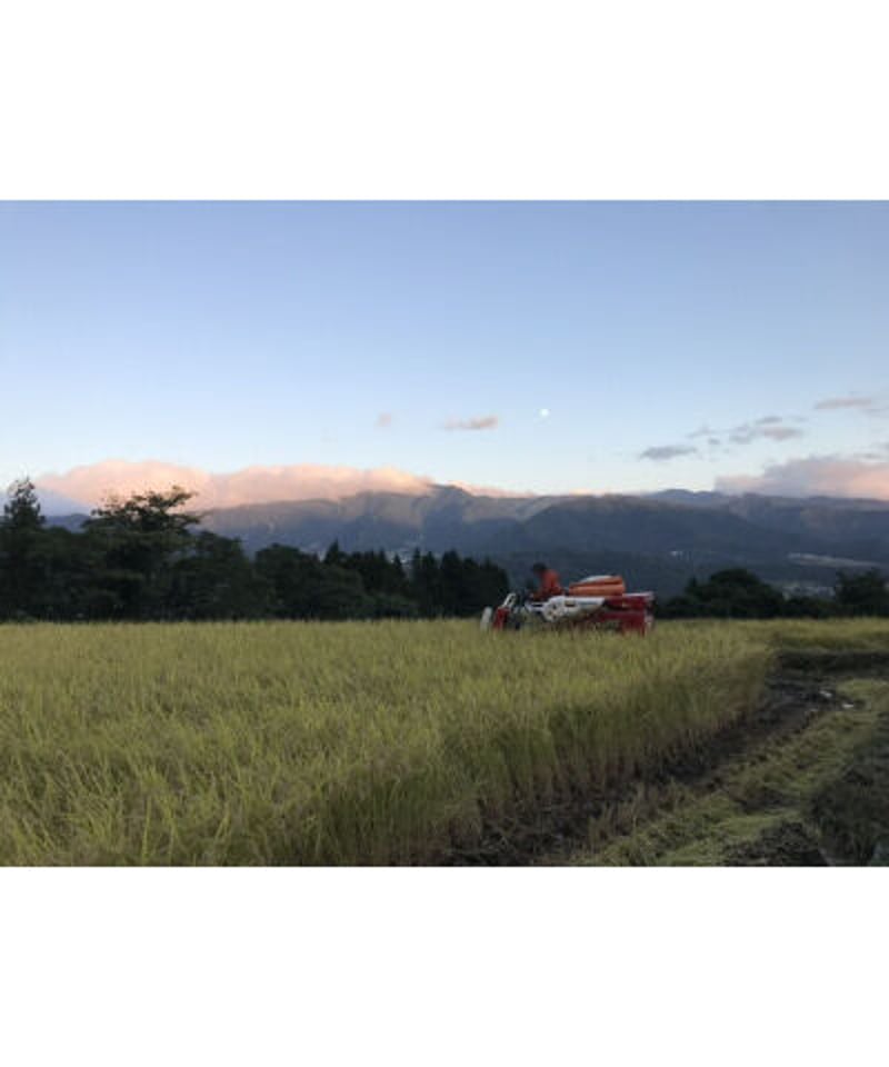 令和7年産 七〇八米 黒KURO 2kg | Faith Farm's STORE