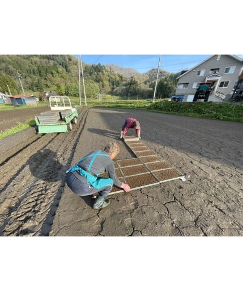 【最終お値下げ】クリソコラ【約58ミリ　丸玉】 ドル/円見通しズバリ予想、3分早わかり「米国8月小売売上高」2024年9