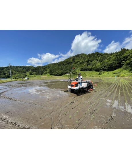 令和７年産 七〇八米 蛍 HOTARU ５kg  合鴨＆アヒル農法