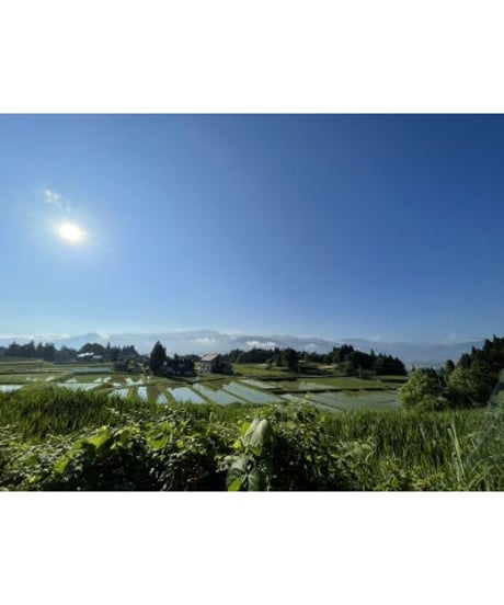 令和７年産 七〇八米 蛍 HOTARU １０kg  合鴨＆アヒル農法