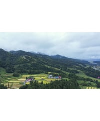 畑のオーナー制度　好きな野菜を育ててみよう！
