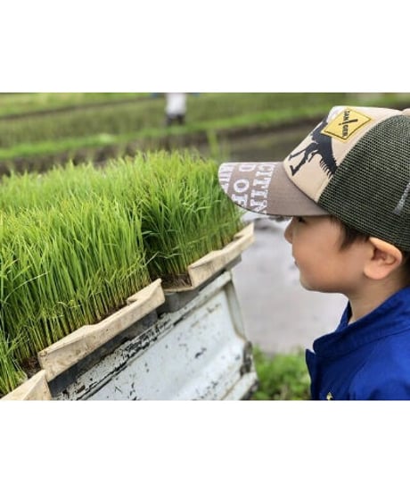 令和７年産　七〇八米　黒KURO       ５kg