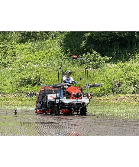 【定期便】令和７年産　七〇八米 蛍 HOTARU ５kg 合鴨＆アヒル農法  白米玄米選択可　要記入