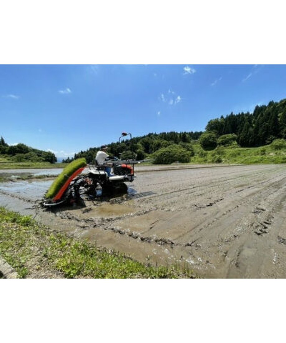 5fd172ed72eb4616ef3424fb