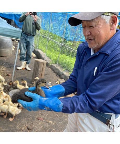 【定期便】令和７年産　七〇八米 蛍 HOTARU ５kg 合鴨＆アヒル農法  白米玄米選択可　要記入
