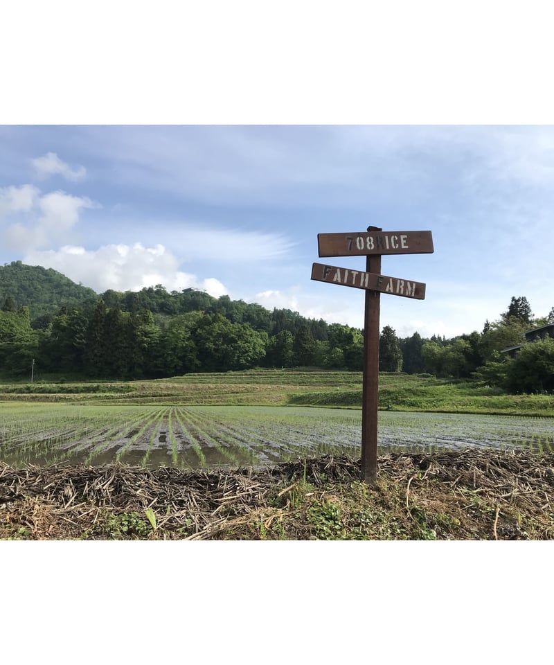 定期便】令和6年産 七〇八米 黒 KURO 10kg 白米 | Faith Farm's 定期便】令和6年産 七〇八米 黒 KURO 10kg 白米 | Faith Farm's