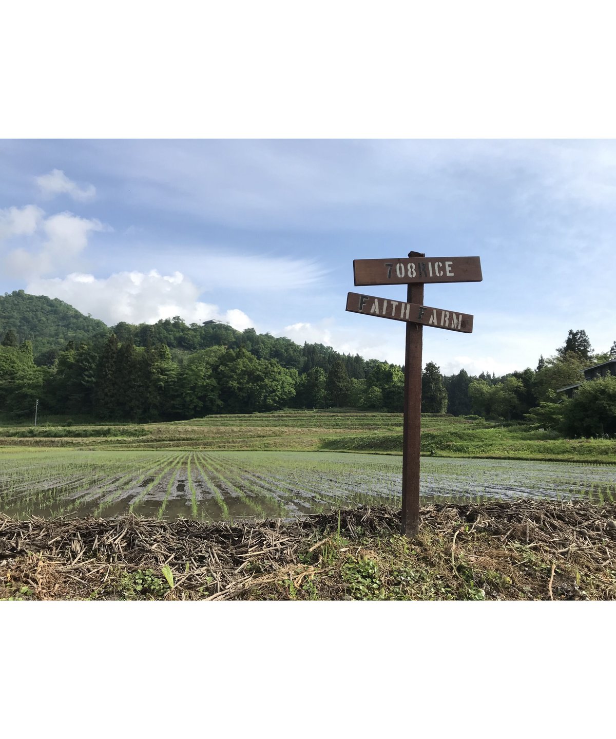 定期便】令和6年産 七〇八米 黒 KURO 10kg 白米 | Faith Farm's