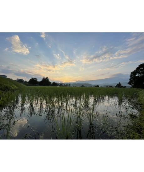 令和７年産  七〇八米 極 KIWAMI １０kg