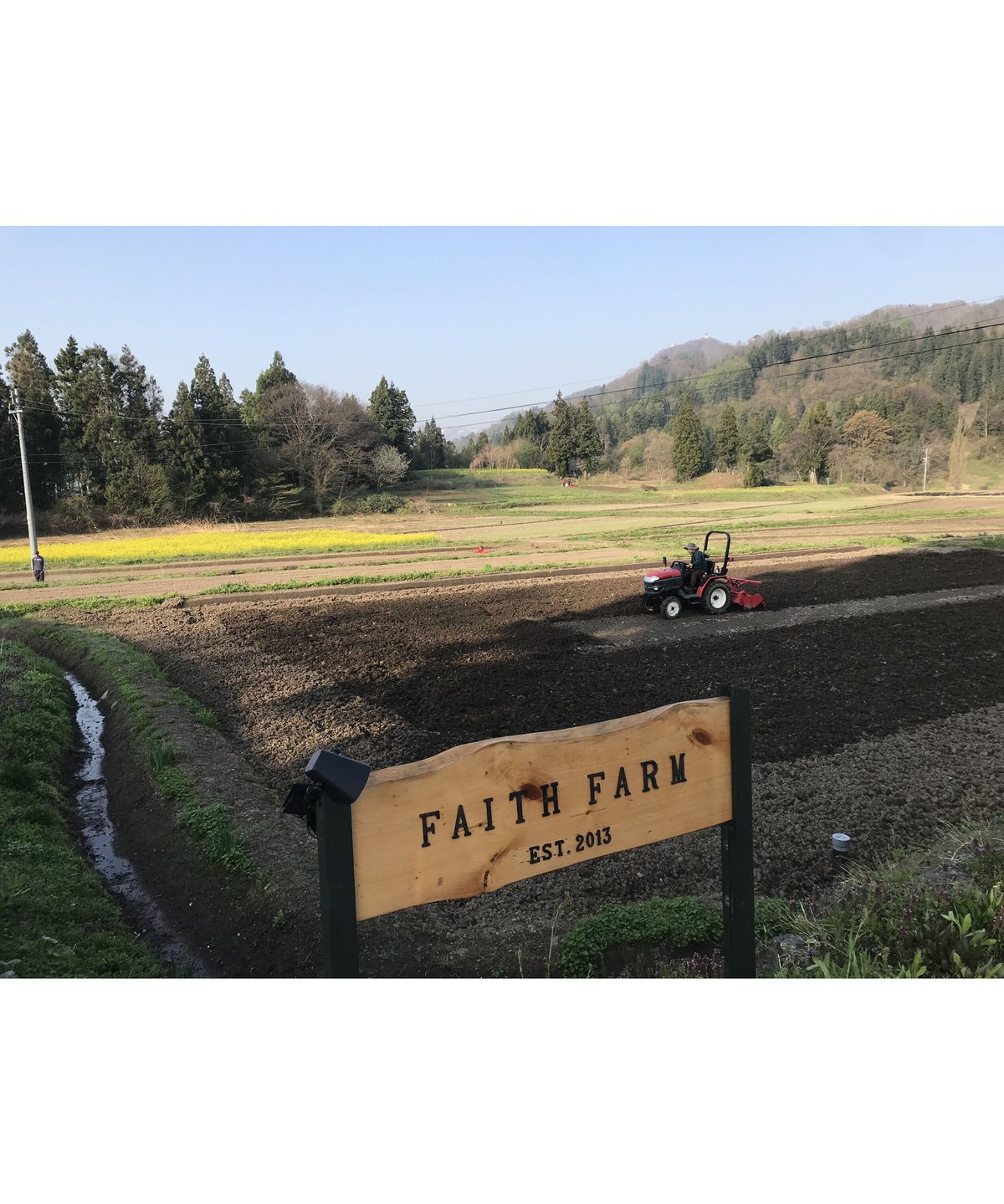 定期便】令和6年産 七〇八米 黒 KURO 10kg 白米 | Faith Farm's