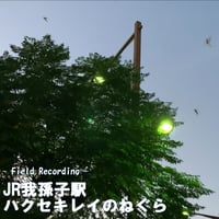 フリーダウンロード！　　　比較音源【JR我孫子駅ハクセキレイのねぐら】