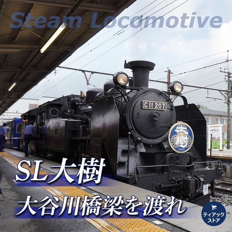 SL大樹 大谷川橋梁を渡れ | ティアックストア STORES店