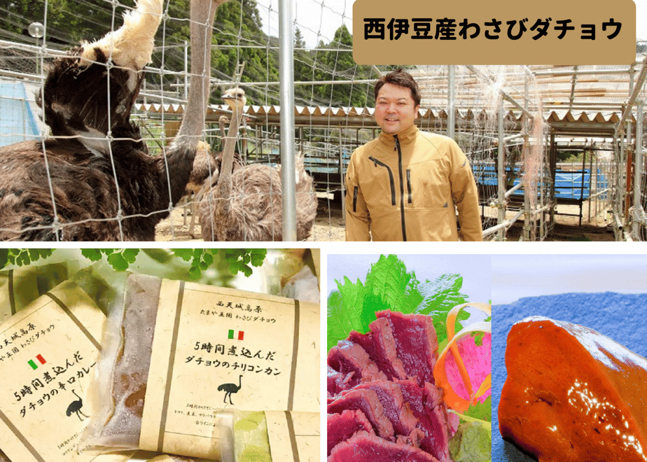 618e369b1bfe1909ed36a11b