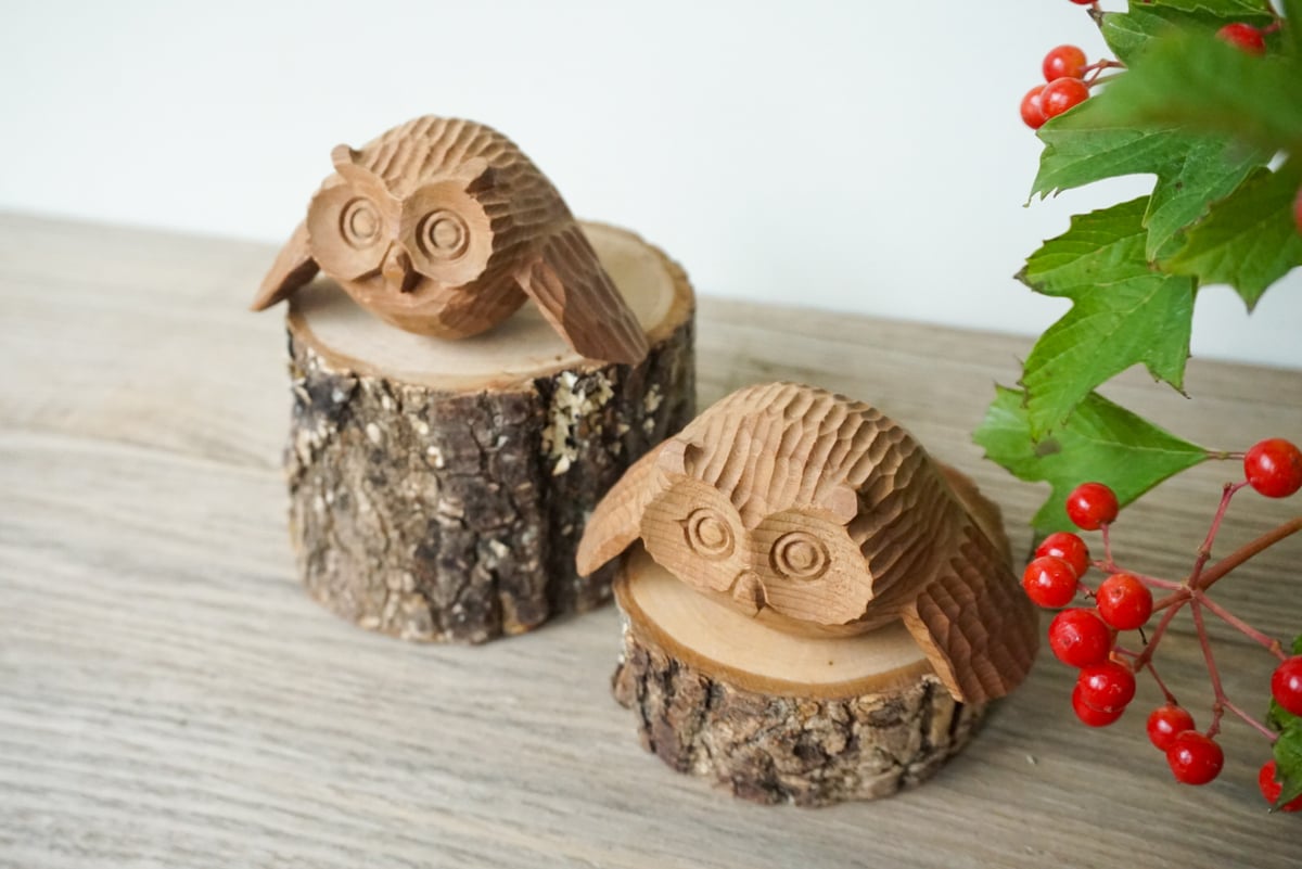 ふくろう☆彡様専用ラクトナチュラ2本 【公式通販】