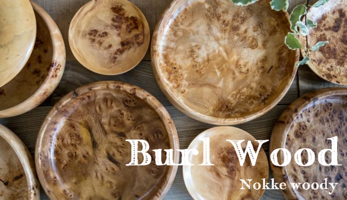 木の根コブ　大　小　2点 2023/10/21 名畑塾 病害虫診断カード（No.551） - 株式会社 山正