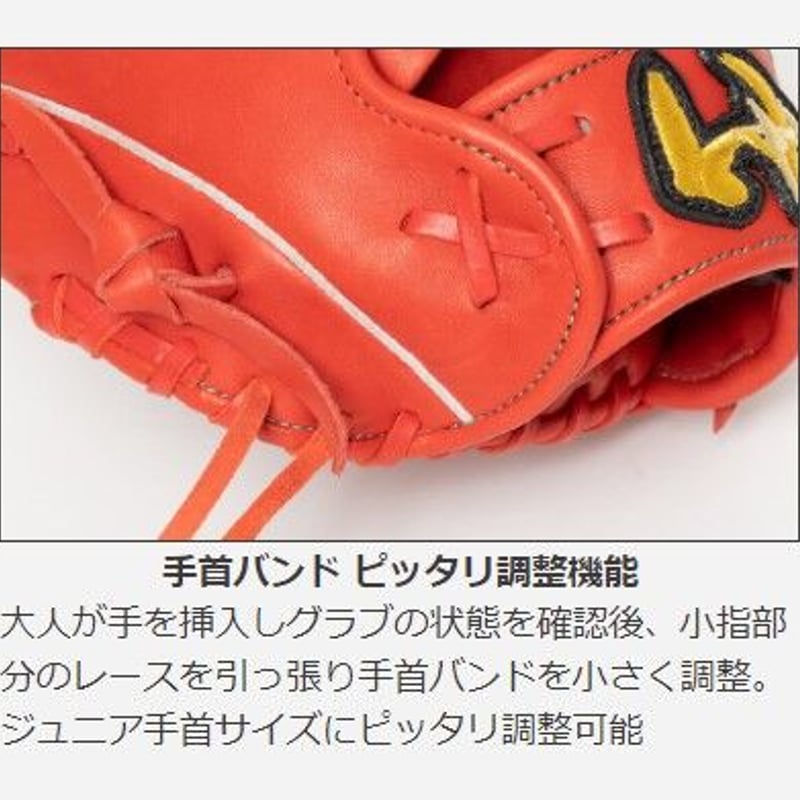 大人気限定カラー】ワールドペガサス Jr.軟式用エディットFL 大人気限定カラー】ワールドペガサス Jr.軟式用エディットFL