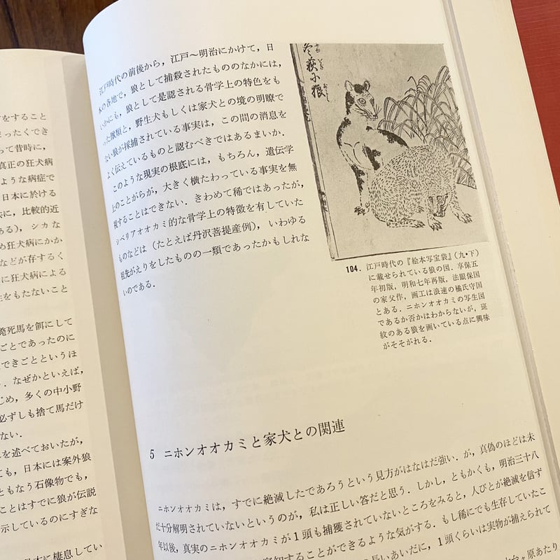 日本産狼の研究 日本産狼の研究 | book cafe 火星の庭 オンラインショップ