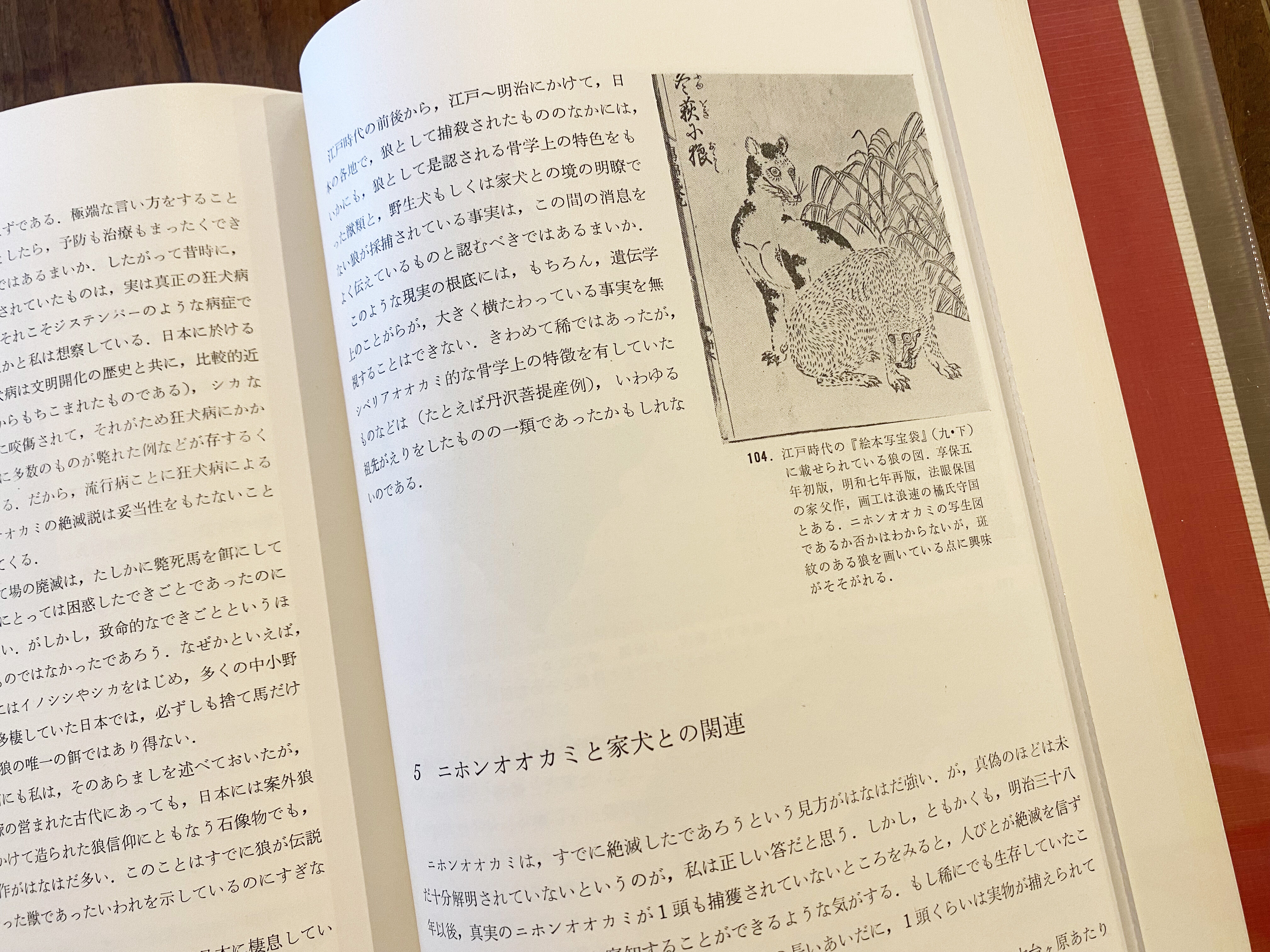 日本産狼の研究 | book cafe 火星の庭 オンラインショップ