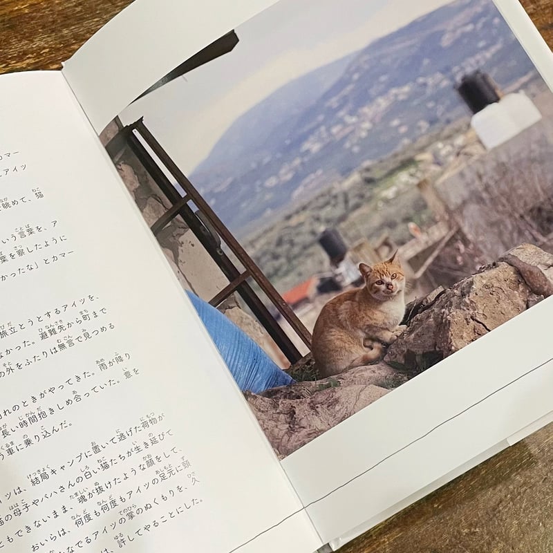 シロくんとパレスチナの猫 サイン＆特製ポストカード付き | book cafe