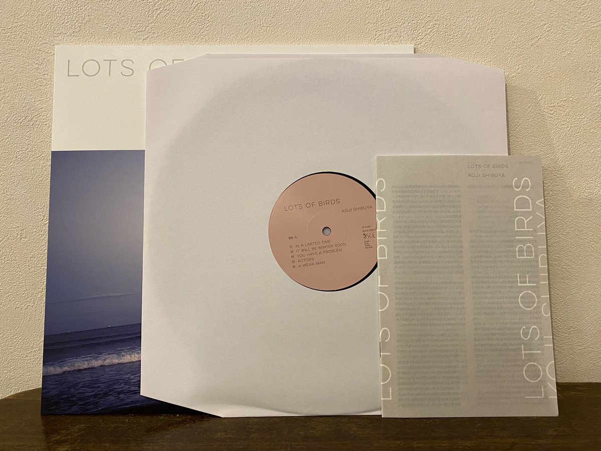 期間限定で▲1万円 激レア【美品】BAND-MAID YOLO 非売品レコード盤 LP「Lots of Birds」Koji Shibuya 限定重量盤セカンドプレス | bo