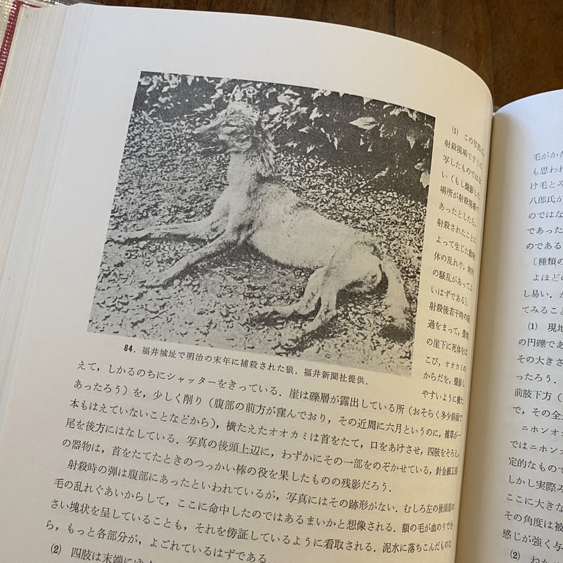 日本産狼の研究 | book cafe 火星の庭 オンラインショップ