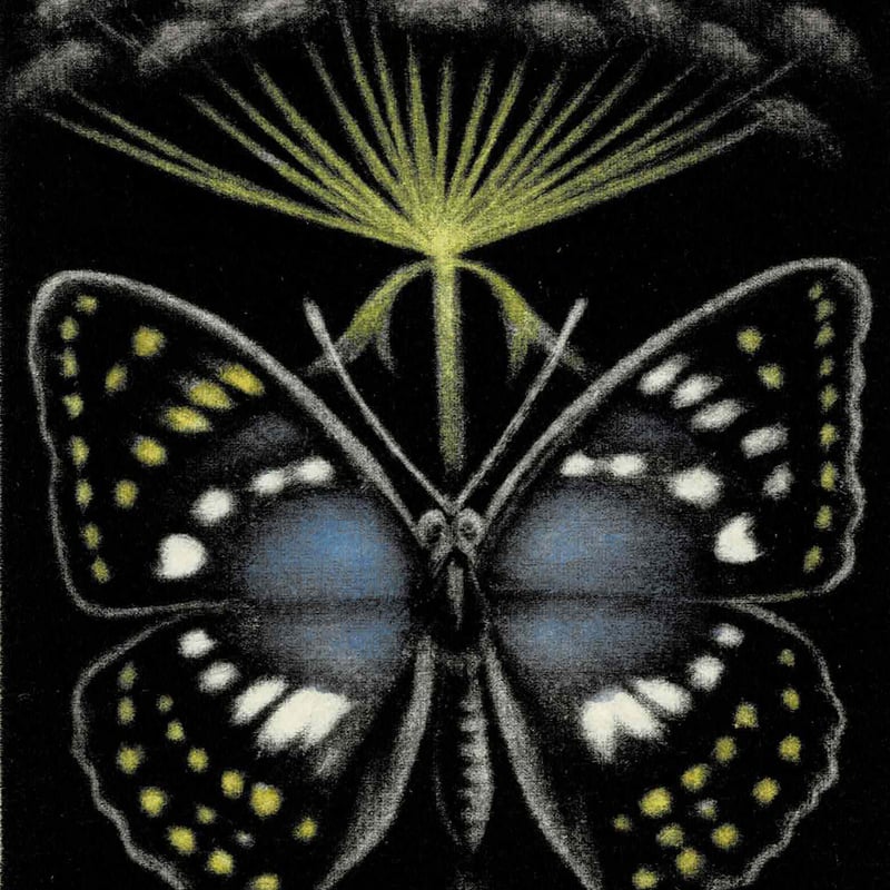 須田敏夫　曙光　版画 fit=scale-down,w=1200