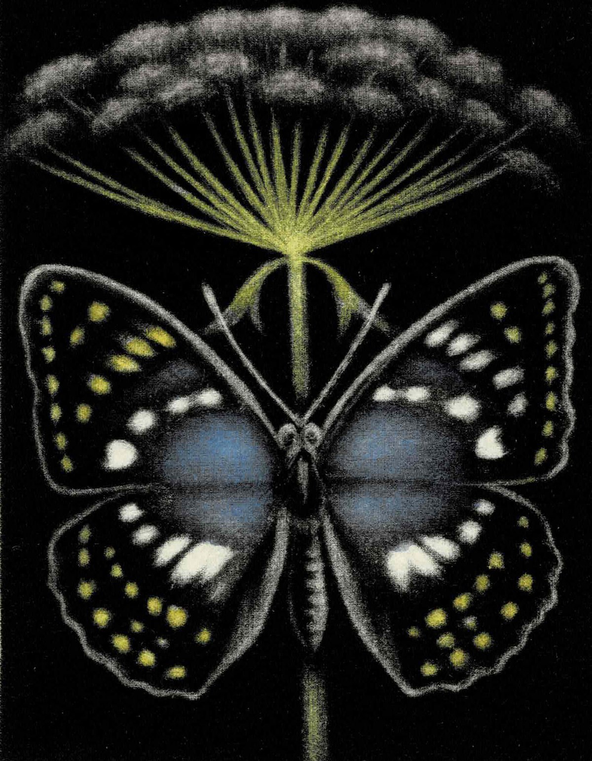 蔵書票】須田敏夫 | book cafe 火星の庭 オンラインショップ